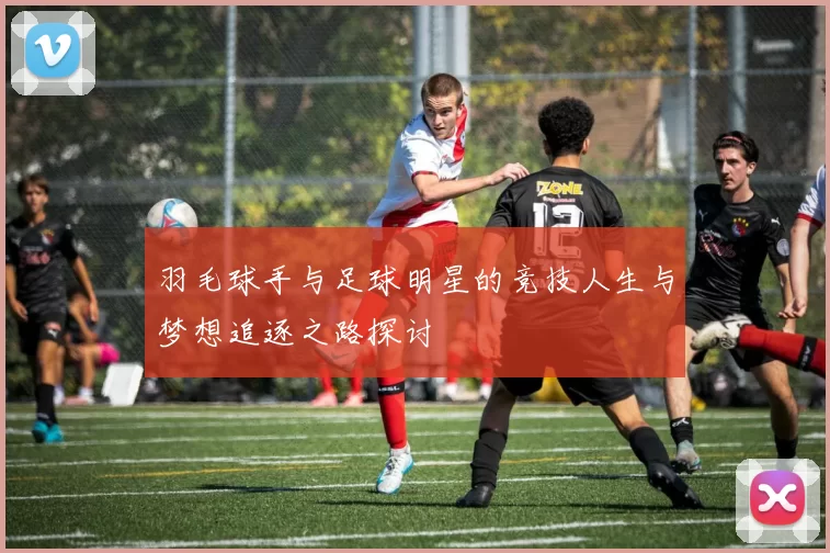 羽毛球手与足球明星的竞技人生与梦想追逐之路探讨
