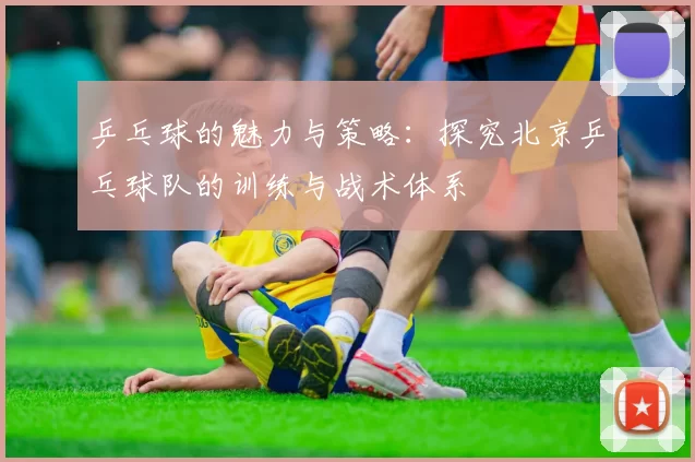 乒乓球的魅力与策略：探究北京乒乓球队的训练与战术体系