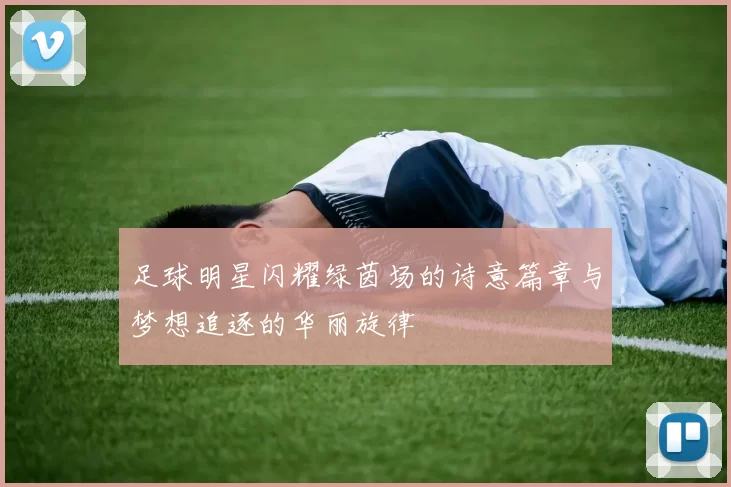 足球明星闪耀绿茵场的诗意篇章与梦想追逐的华丽旋律