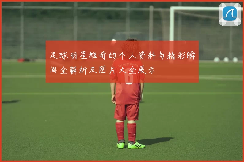 足球明星维奇的个人资料与精彩瞬间全解析及图片大全展示