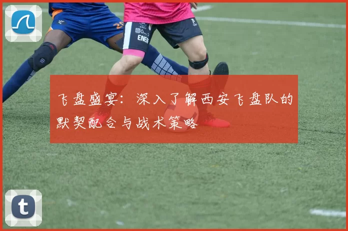飞盘盛宴：深入了解西安飞盘队的默契配合与战术策略
