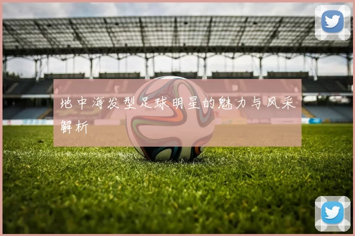 地中海发型足球明星的魅力与风采解析