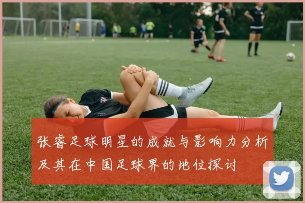 张睿足球明星的成就与影响力分析及其在中国足球界的地位探讨
