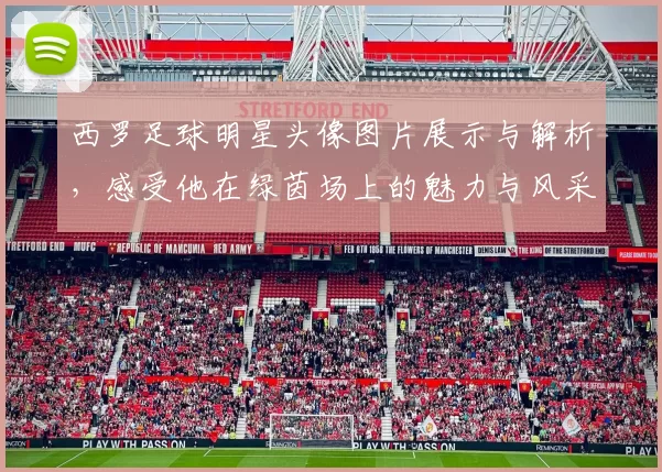 西罗足球明星头像图片展示与解析，感受他在绿茵场上的魅力与风采