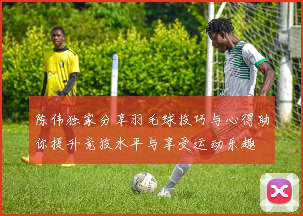 陈伟独家分享羽毛球技巧与心得助你提升竞技水平与享受运动乐趣