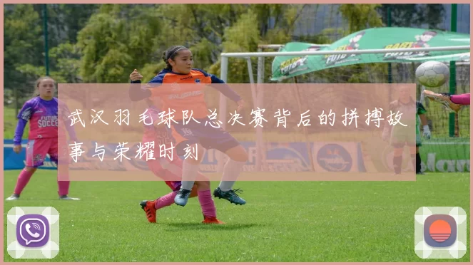 武汉羽毛球队总决赛背后的拼搏故事与荣耀时刻