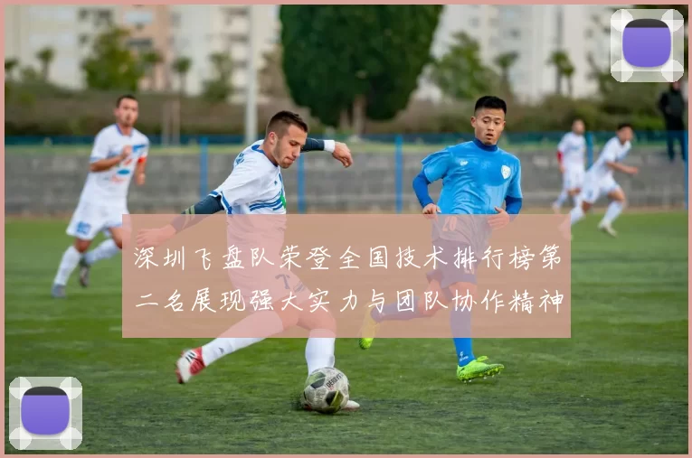 深圳飞盘队荣登全国技术排行榜第二名展现强大实力与团队协作精神