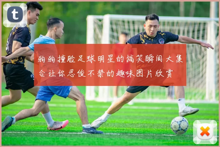 狗狗撞脸足球明星的搞笑瞬间大集合让你忍俊不禁的趣味图片欣赏