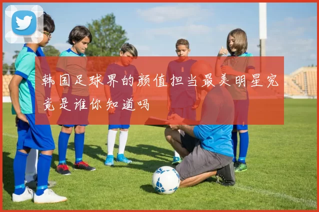 韩国足球界的颜值担当最美明星究竟是谁你知道吗