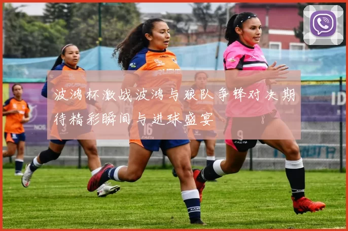 波鸿杯激战波鸿与狼队争锋对决期待精彩瞬间与进球盛宴