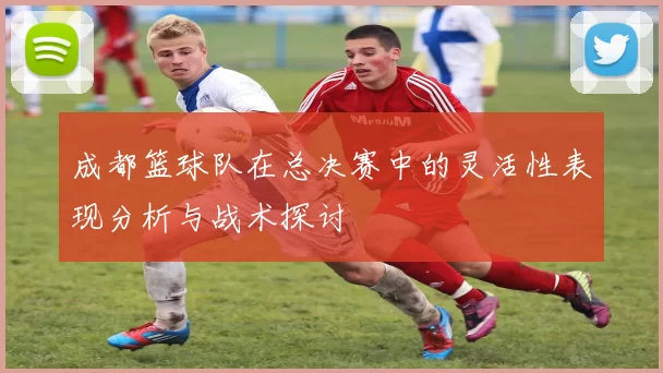 成都篮球队在总决赛中的灵活性表现分析与战术探讨