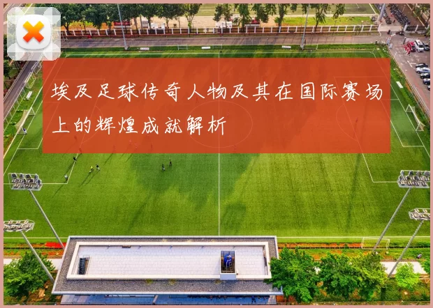 埃及足球传奇人物及其在国际赛场上的辉煌成就解析