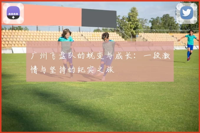 广州飞盘队的蜕变与成长：一段激情与坚持的纪实之旅