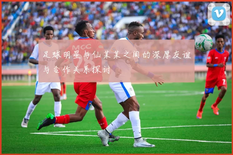 足球明星与仙某某之间的深厚友谊与合作关系探讨