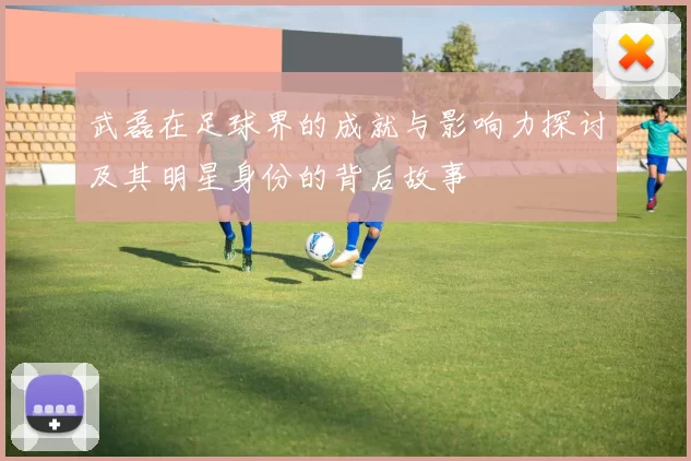 武磊在足球界的成就与影响力探讨及其明星身份的背后故事