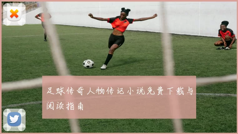 足球传奇人物传记小说免费下载与阅读指南