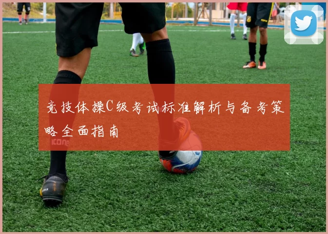 竞技体操C级考试标准解析与备考策略全面指南