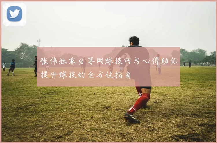 张伟独家分享网球技巧与心得助你提升球技的全方位指南
