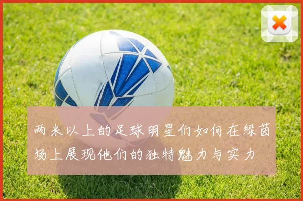 两米以上的足球明星们如何在绿茵场上展现他们的独特魅力与实力