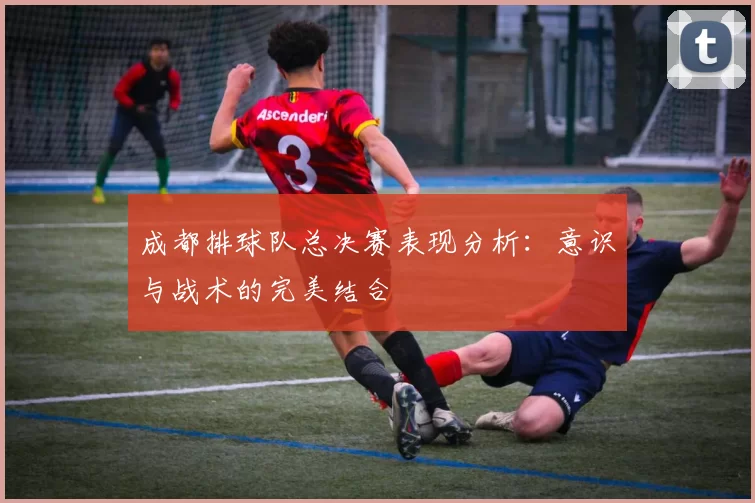 成都排球队总决赛表现分析：意识与战术的完美结合