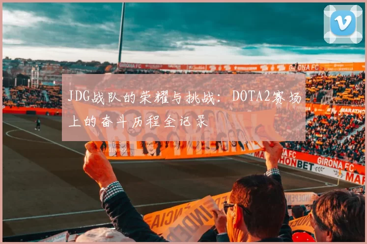 JDG战队的荣耀与挑战：DOTA2赛场上的奋斗历程全记录
