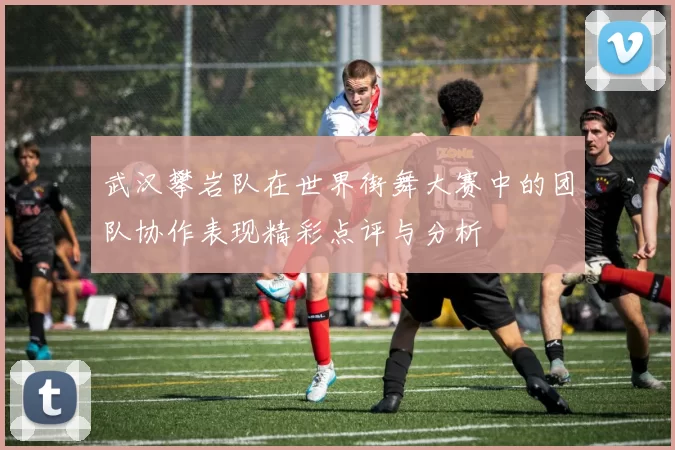 武汉攀岩队在世界街舞大赛中的团队协作表现精彩点评与分析