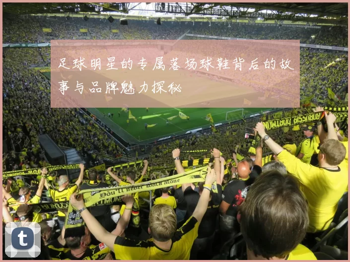 足球明星的专属落场球鞋背后的故事与品牌魅力探秘